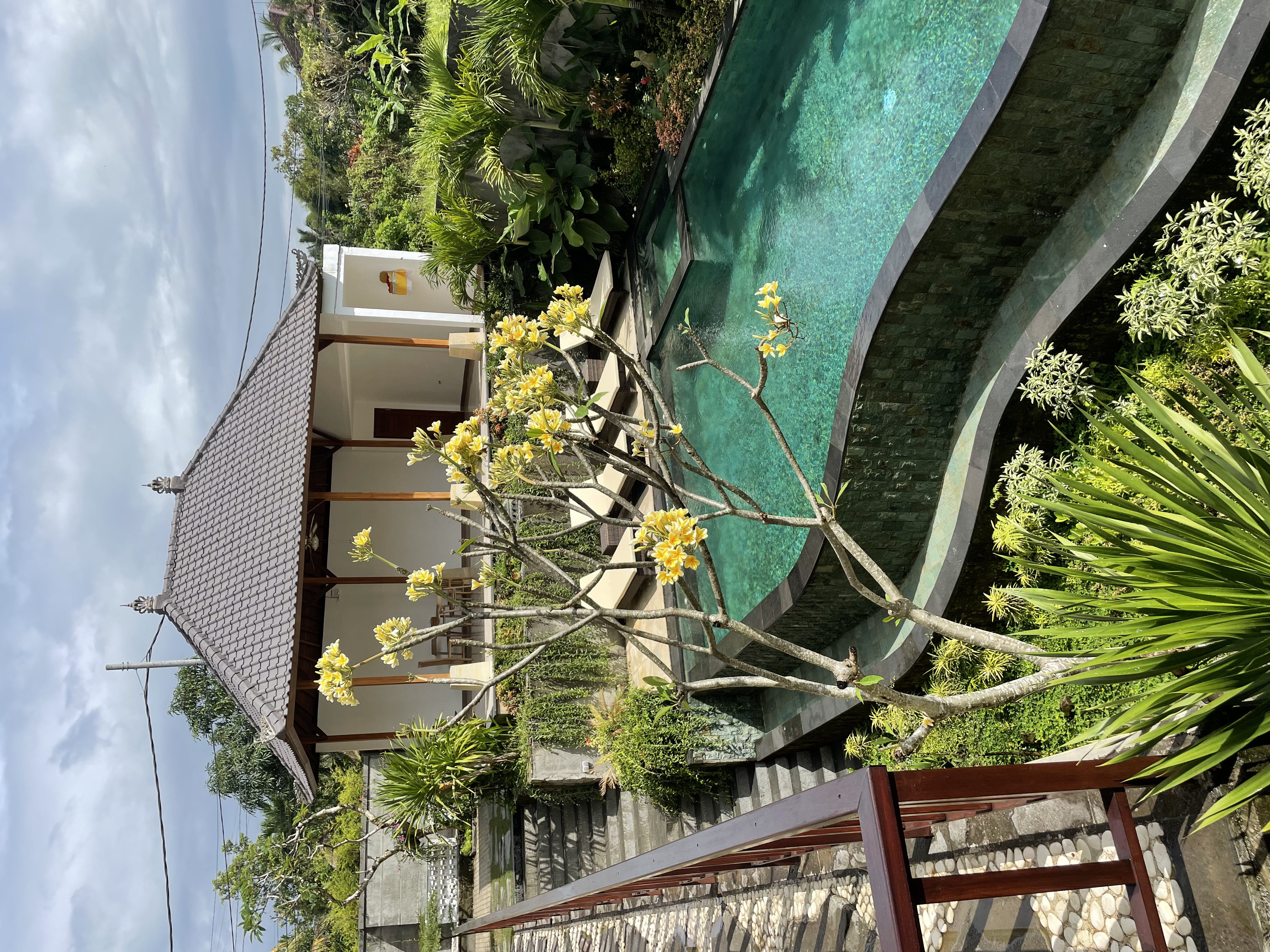 Infinity Pool 1